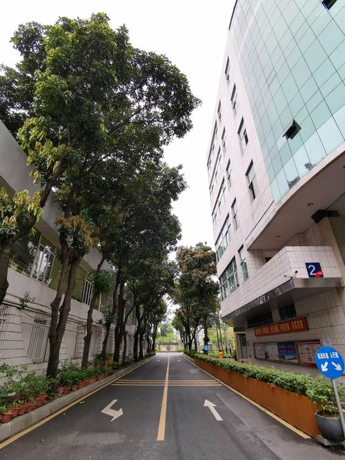 "你在的地方就是我的去向"之六